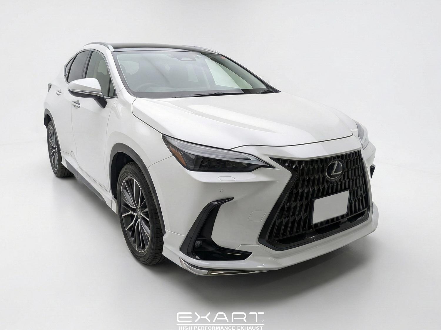 EXART ONE Muffler For LEXUS NX250